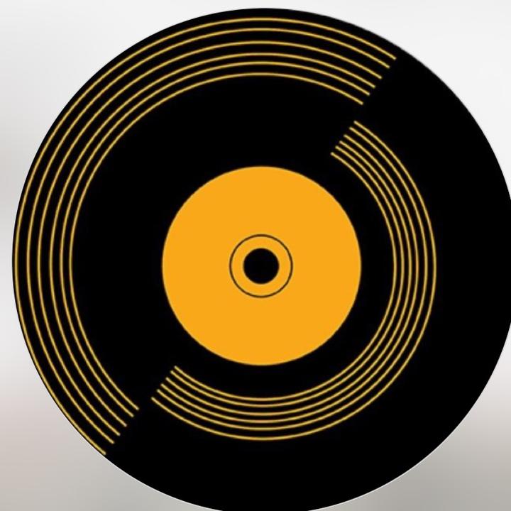 thatvinylguy1
