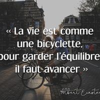 pdggbekpodonoukonservice