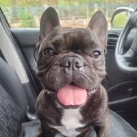 TikTok Account - https://p16-amd-va.tiktokcdn.com/tos-maliva-avt-0068/cf8cf9378172d843dca34b21741a44df~tplv-tiktokx-cropcenter-q:200:200:q70.jpg