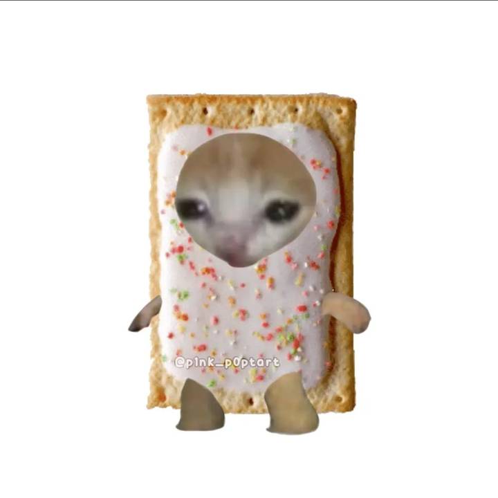 p1nk_p0ptart