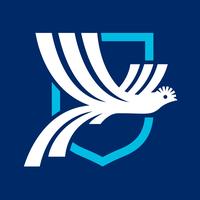 original sound - laseleguate