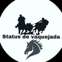 0status_de_vaquejada0