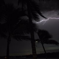 TikTok Account - https://p16-amd-va.tiktokcdn.com/tos-maliva-avt-0068/d168c20b025dae660747b787064e60c3~tplv-tiktokx-cropcenter:200:200.jpeg