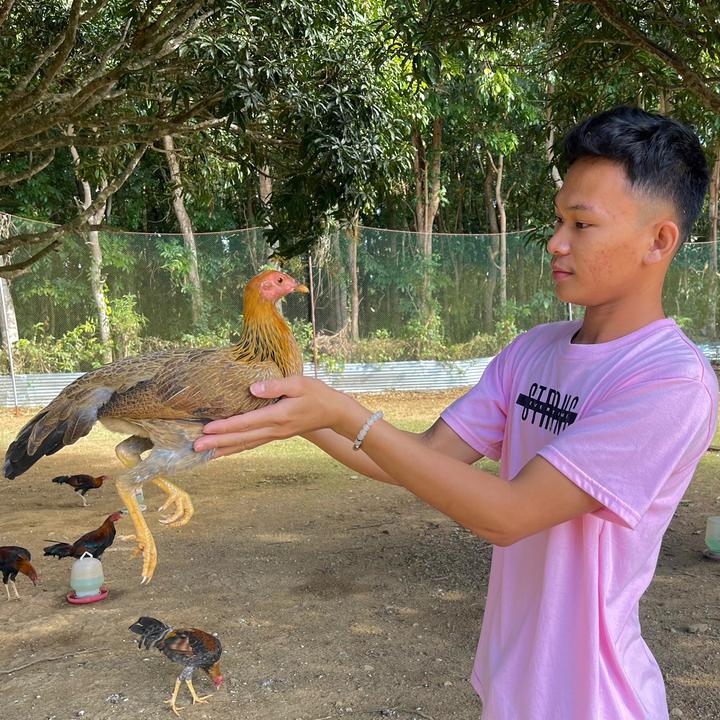 marksotto12
