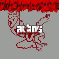 TikTok Account - template_albos
