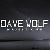Dave Wolf - @davepner - TikTok