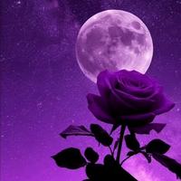 original sound - agenestastolkey7