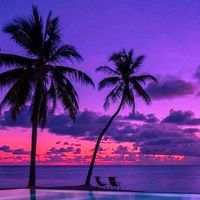 TikTok Account - https://p16-amd-va.tiktokcdn.com/tos-maliva-avt-0068/d8cf0cf73b494f68f893614af0163201~tplv-tiktokx-cropcenter:200:200.jpeg