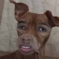 TikTok Account Photo