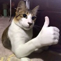 estraguei_minhavida