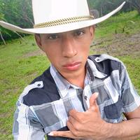 TikTok Account - https://p16-amd-va.tiktokcdn.com/tos-maliva-avt-0068/db18d698d4b186e4be121906c55a0374~c5_200x200.jpeg