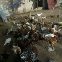 user4570896728240janeth