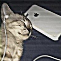 Sound image