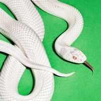 TikTok Account - https://p16-amd-va.tiktokcdn.com/tos-maliva-avt-0068/dc3fbd8c9da4485464d38d4a36126029~tplv-tiktokx-cropcenter:200:200.jpeg