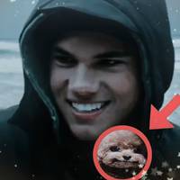 TikTok Account - https://p16-amd-va.tiktokcdn.com/tos-maliva-avt-0068/dca07d2983b7da9dc539118b91672ee5~tplv-tiktokx-cropcenter-q:200:200:q70.jpg