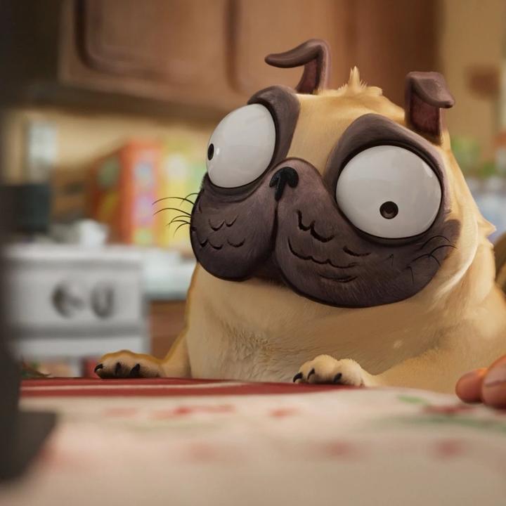 @monchielperro