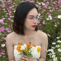 nhạc nền - Ngọk Mít 🇹🇼