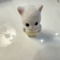 cathcath__1