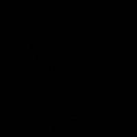 n2_vv1