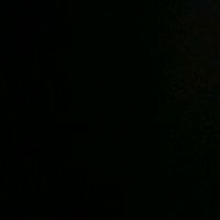 molly_11980