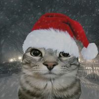 catnapxdogday325