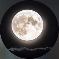 TikTok Account - https://p16-amd-va.tiktokcdn.com/tos-maliva-avt-0068/dff9d2a957274c168912009292d95213~tplv-tiktokx-cropcenter:200:200.jpeg