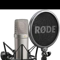 الصوت الأصلي