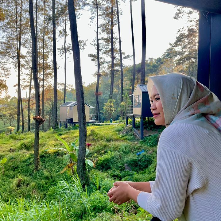 @3mbunp46i