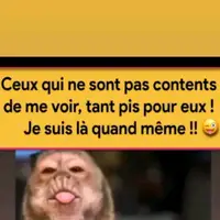 TikTok Account - https://p16-amd-va.tiktokcdn.com/tos-maliva-avt-0068/e1942dac592eb5c9bb15a930d9635f1b~tplv-tiktokx-cropcenter-q:200:200:q70.webp