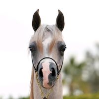 TikTok Account - https://p16-amd-va.tiktokcdn.com/tos-maliva-avt-0068/e2922a2ba1053de62b3593c8790e7fbb~tplv-tiktokx-cropcenter:200:200.jpeg