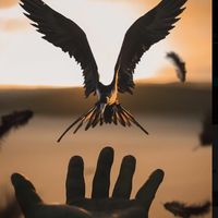 TikTok Account - https://p16-amd-va.tiktokcdn.com/tos-maliva-avt-0068/e37eef7f4b7db24aea59b25fc9133dda~tplv-tiktokx-cropcenter:200:200.jpeg