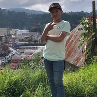 chiquitoavispamerrida