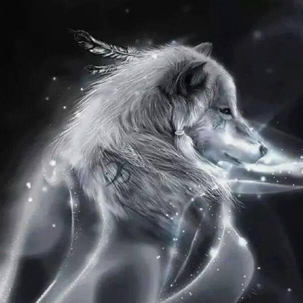 alphawolff69