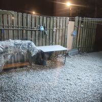 TikTok Account - https://p16-amd-va.tiktokcdn.com/tos-maliva-avt-0068/e55abb221ea0f70eb242e600ce0170ee~tplv-tiktokx-cropcenter:200:200.jpeg