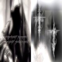 TikTok Account - https://p16-amd-va.tiktokcdn.com/tos-maliva-avt-0068/e58ea500c49e42bc85decc75c565eee9~tplv-tiktokx-cropcenter:200:200.jpeg