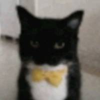 TikTok Account - https://p16-amd-va.tiktokcdn.com/tos-maliva-avt-0068/e6f92ad37ca6aa71ed274c236d471d59~tplv-tiktokx-cropcenter-q:200:200:q70.jpg