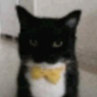 original sound - o_huron