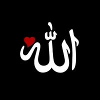 TikTok Account - https://p16-amd-va.tiktokcdn.com/tos-maliva-avt-0068/e73af38bf190cd46cb8d7914a379ff52~tplv-tiktokx-cropcenter:200:200.jpeg