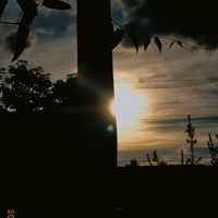 elielmreis8