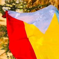 الصوت الأصلي