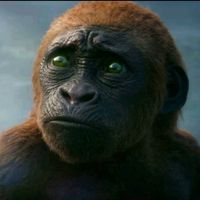 TikTok Account - https://p16-amd-va.tiktokcdn.com/tos-maliva-avt-0068/e9442e93587a3594575b6bffcfb9beda~tplv-tiktokx-cropcenter:200:200.jpeg