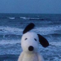 TikTok Account - https://p16-amd-va.tiktokcdn.com/tos-maliva-avt-0068/ea9526ba066a889db62ee5e962d936a6~tplv-tiktokx-cropcenter:200:200.jpeg