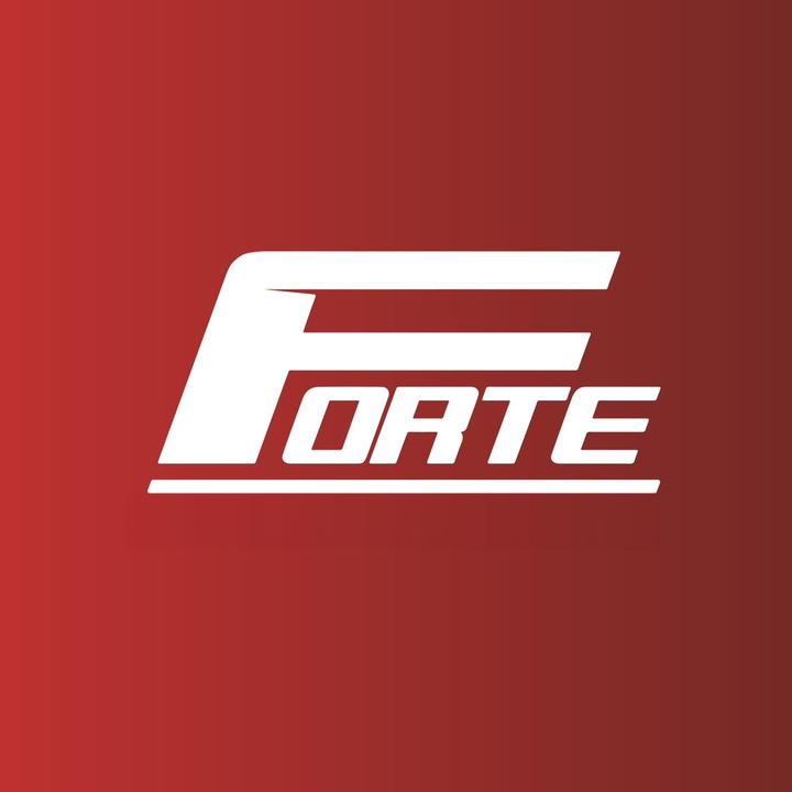 @fortemty