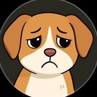 TikTok Account Photo