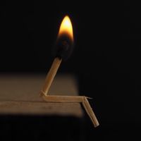 TikTok Account - https://p16-amd-va.tiktokcdn.com/tos-maliva-avt-0068/edfd60659ed7d81031ce193d1261a274~tplv-tiktokx-cropcenter:200:200.jpeg