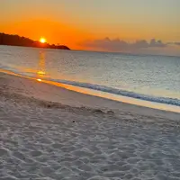 TikTok Account Photo