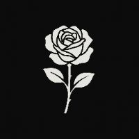 TikTok Account - https://p16-amd-va.tiktokcdn.com/tos-maliva-avt-0068/ef5a22d46608c46a5f4e7b438dd6f246~tplv-tiktokx-cropcenter:200:200.jpeg