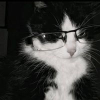 TikTok Account Photo