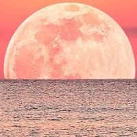 original sound - taponthecart