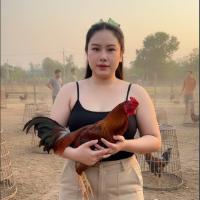 เสียงต้นฉบับ - ข้าวปุ้นบ้านไก่ชน